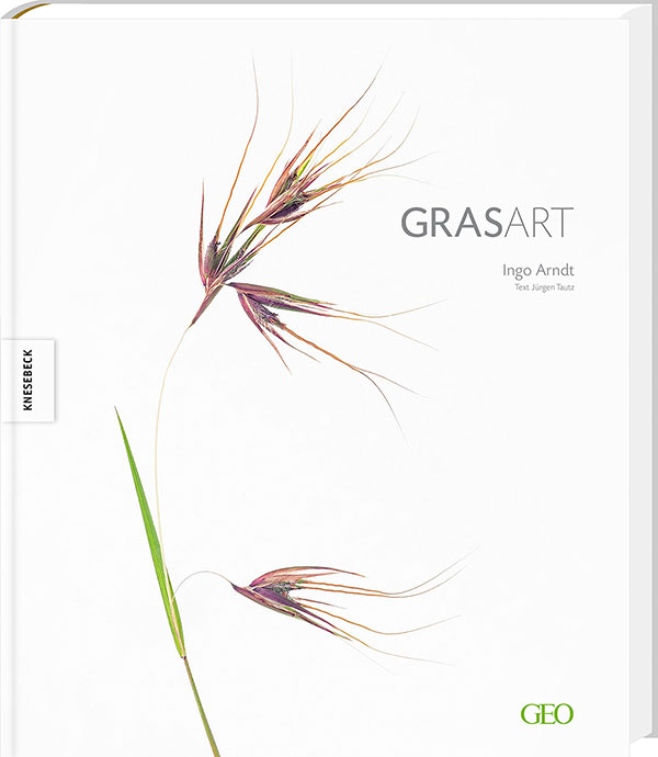 Grasart