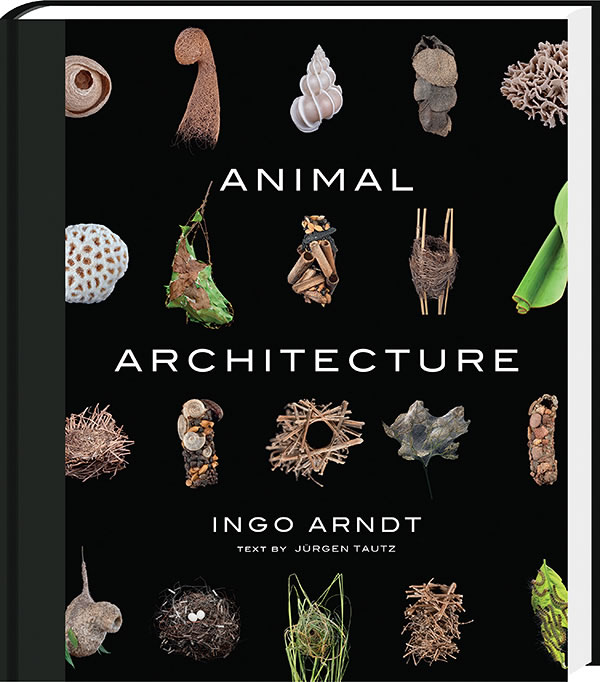 Animal Architecture