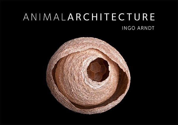 Animal Architecture | Ingo Arndt