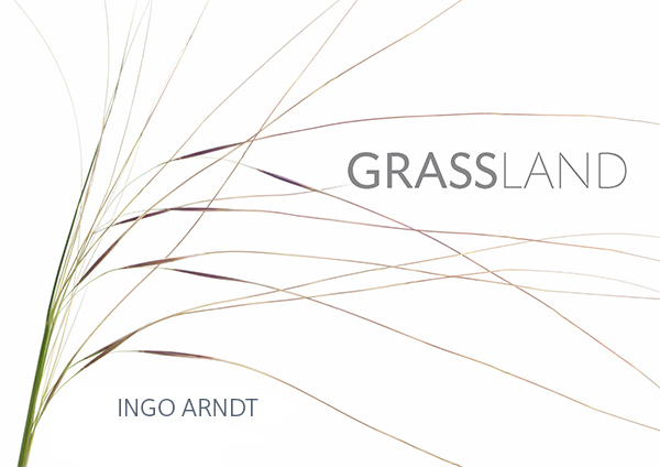 Ingo Arndt | Grassland