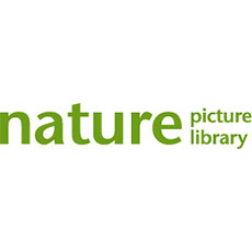 Nature Picture Library