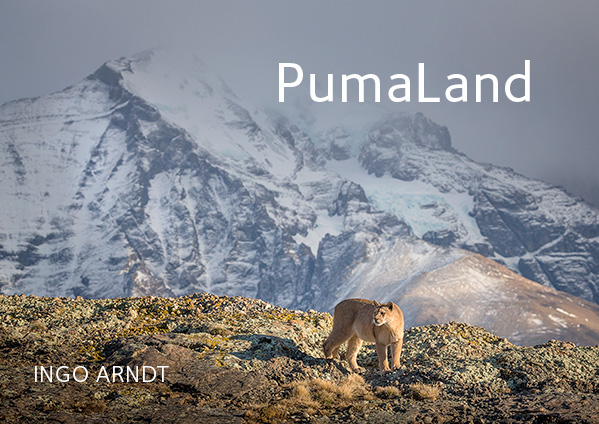 PumaLand | Ingo Arndt